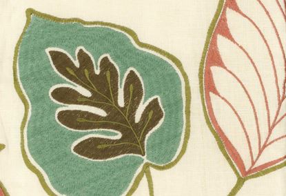 Picture of TARA-SPRING