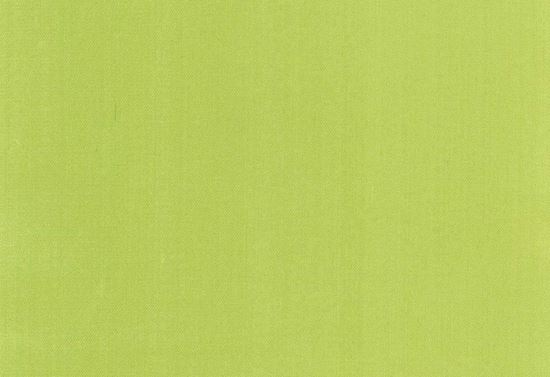 Picture of ZARATE-CELERY