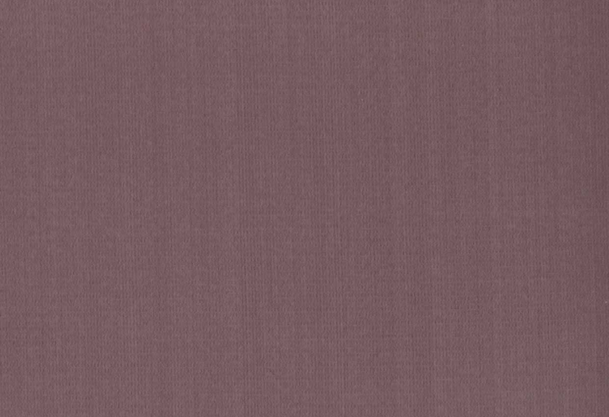 Picture of ZARATE-LILAC