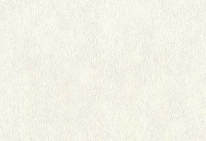 Picture of SELINA-ECRU