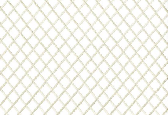 Picture of CENON-PEARL