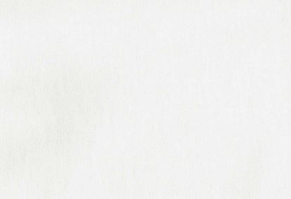 Picture of ERIKA-WHITE