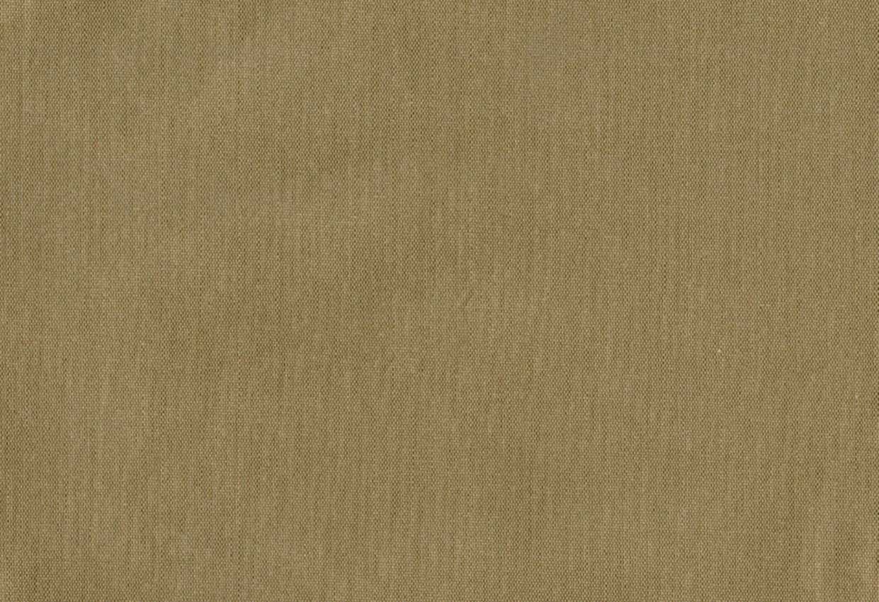 Picture of EMMA-TAUPE