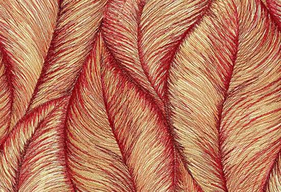 Picture of APOLDA-RUBY