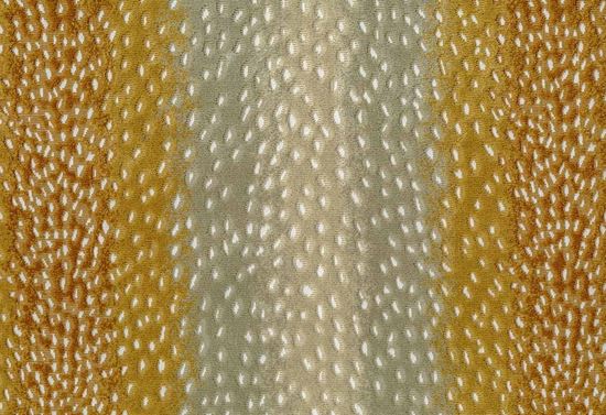 Picture of NERI-TIGERS EYE