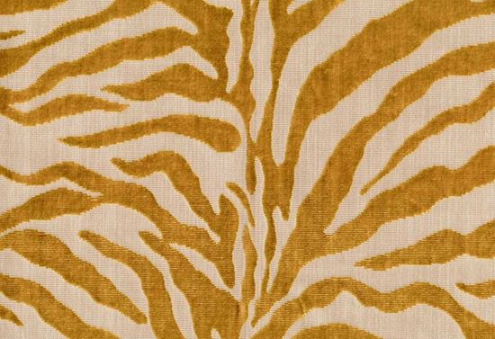 Picture of RONGO-GOLDEN