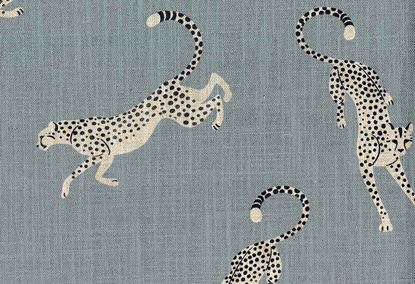 Picture of BAGHEERA-SKY