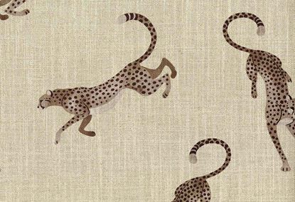 Picture of BAGHEERA-CLOVE