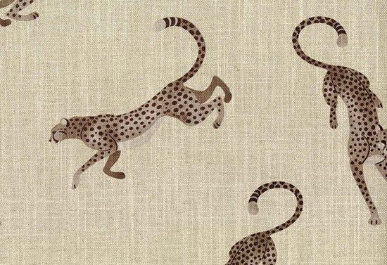 Picture of BAGHEERA-CLOVE