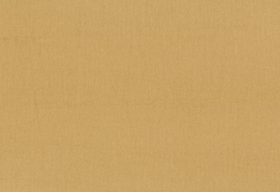 Picture of ISHA-CAMEL