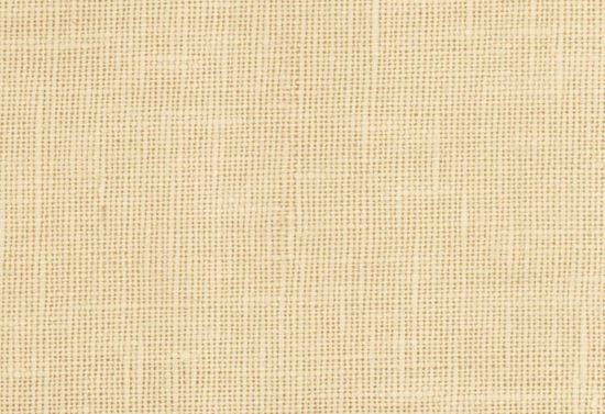 Picture of JASMINE-STUCCO