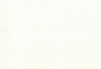 Picture of MOLLY-VANILLA