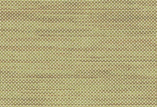 Picture of SHERRY-CELERY