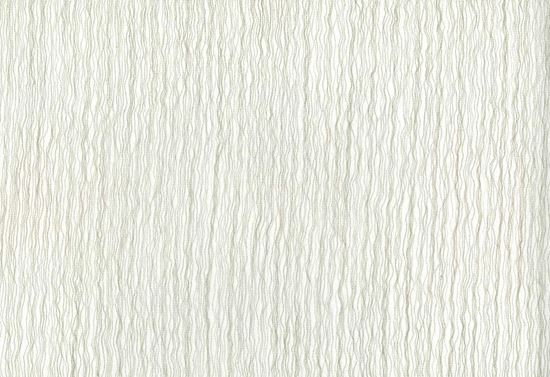 Picture of KOMODO-OYSTER