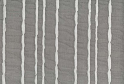 Picture of MOEMA-SILVER