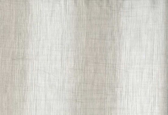 Picture of SANTOS-OYSTER