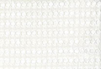 Picture of OYLAT-WHITE