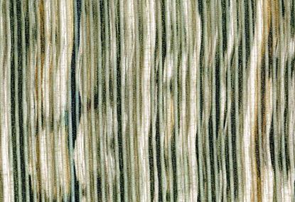 Picture of EZRURUM-ARTICHOKE