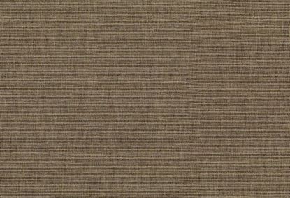 Picture of JOAN-COCOA