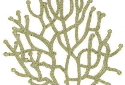 Picture of REEF-CELERY