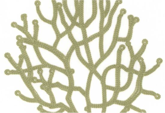 Picture of REEF-CELERY