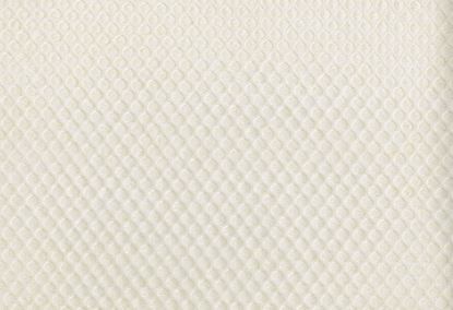 Picture of SKARA-ECRU