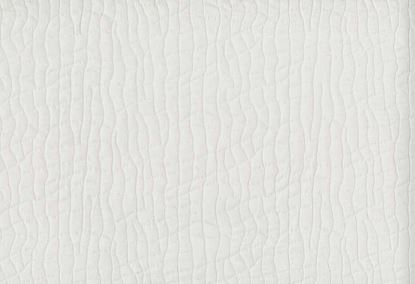 Picture of FLEN-BLANCO