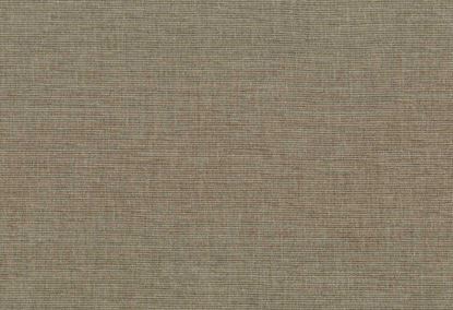 Picture of JOAN-TAUPE