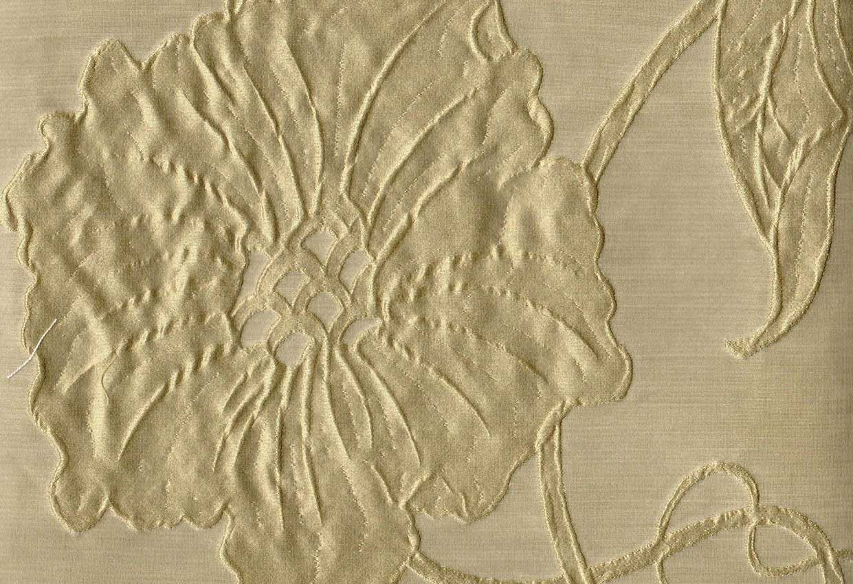 Picture of TAYLOR-SAGE