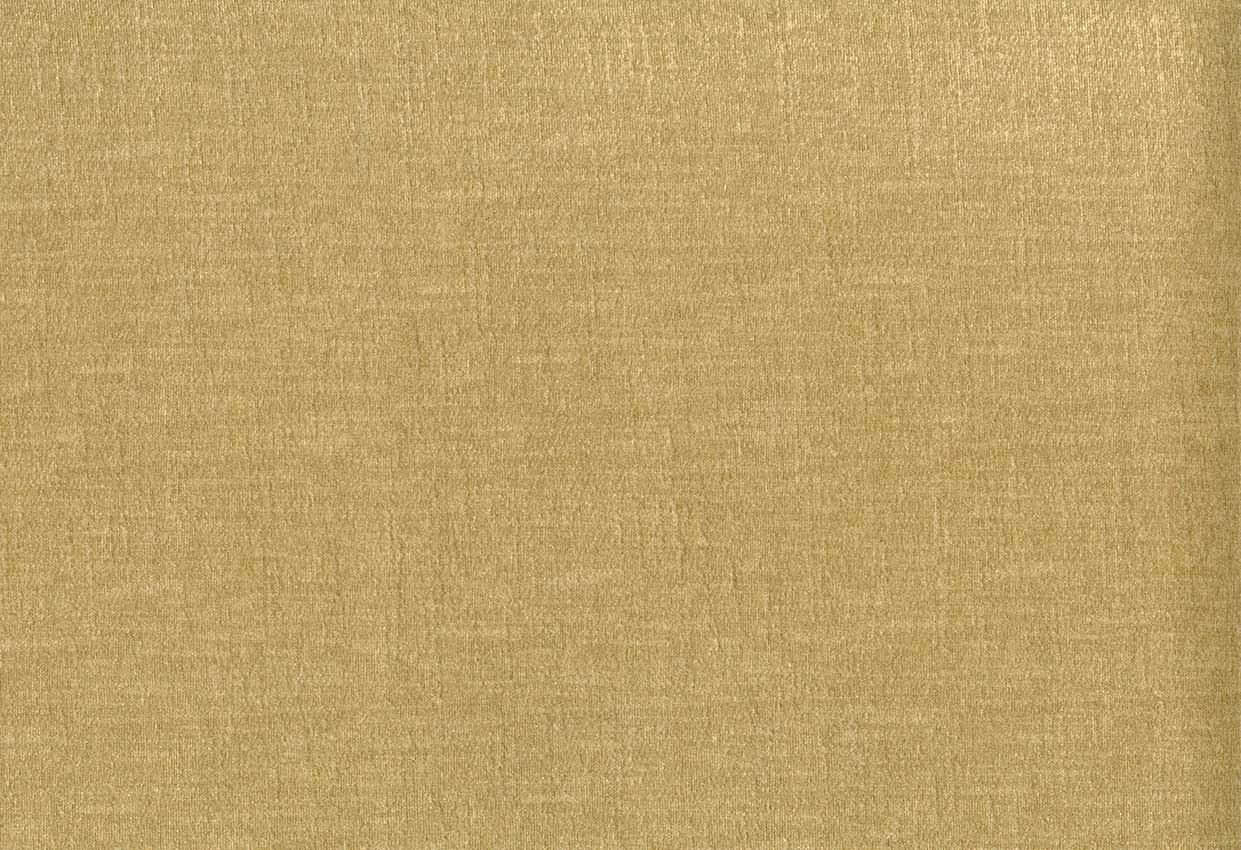 Picture of BREVIK-CAMEL