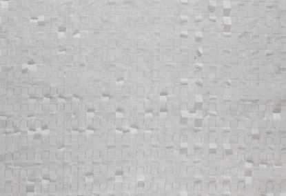 Picture of BRUSSELS-PUTTY