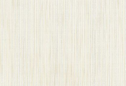 Picture of CUNEO-PUTTY