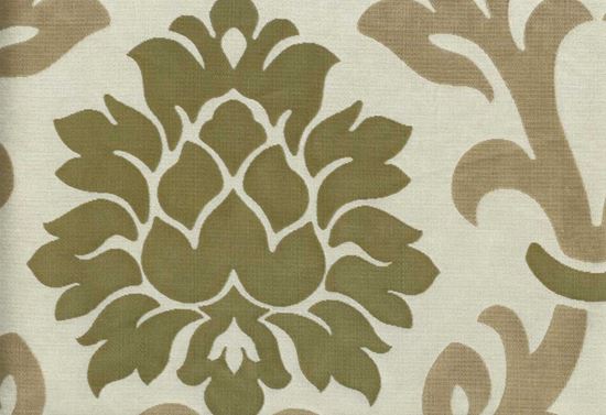 Picture of ERIN-CELERY