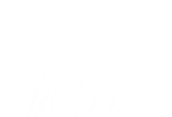 Picture of TURKS-ECRU