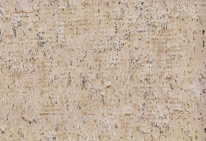 Picture of RALLA WC-ALMOND