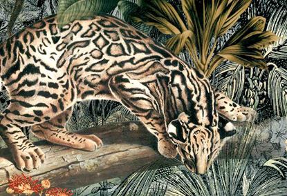 Picture of CAMDEN-FOREST