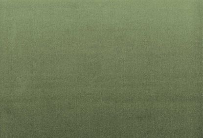 Picture of BERGAMO-SPRUCE