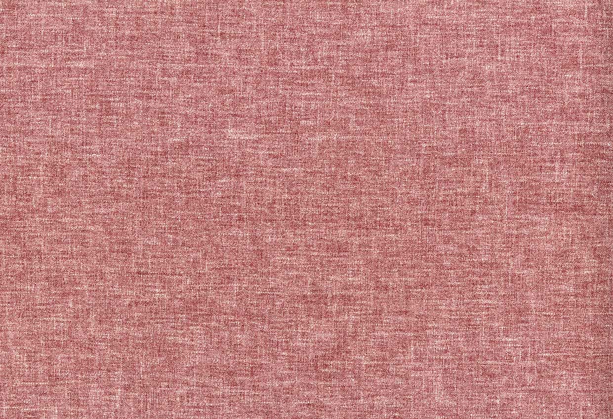 Picture of ALINA-BEET