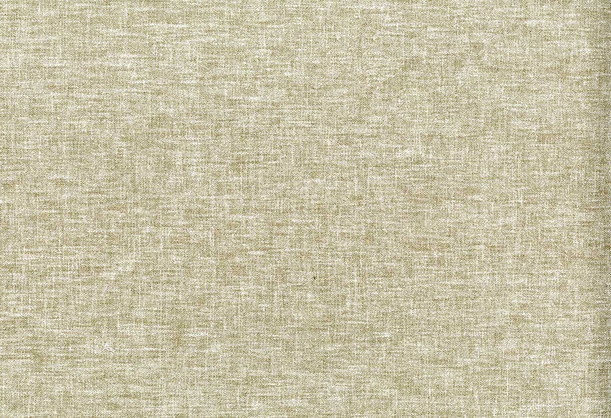 Picture of ALINA-MUSHROOM