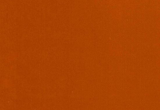 Picture of ETOILE-RUST