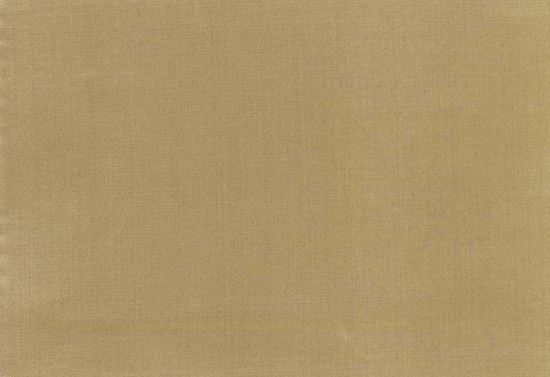 Picture of ZARATE-TAN