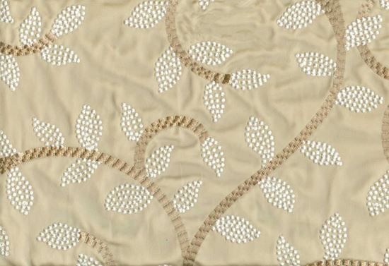 Picture of JENNIFER-CHAMPAGNE