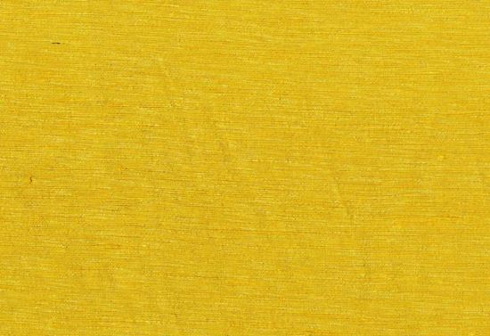 Picture of KELLY-SUNSHINE