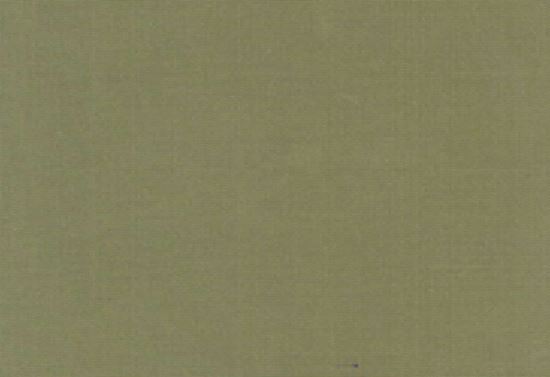 Picture of NAPA-OTTER