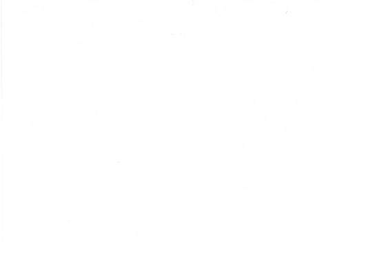 Picture of NAPA-WHITE