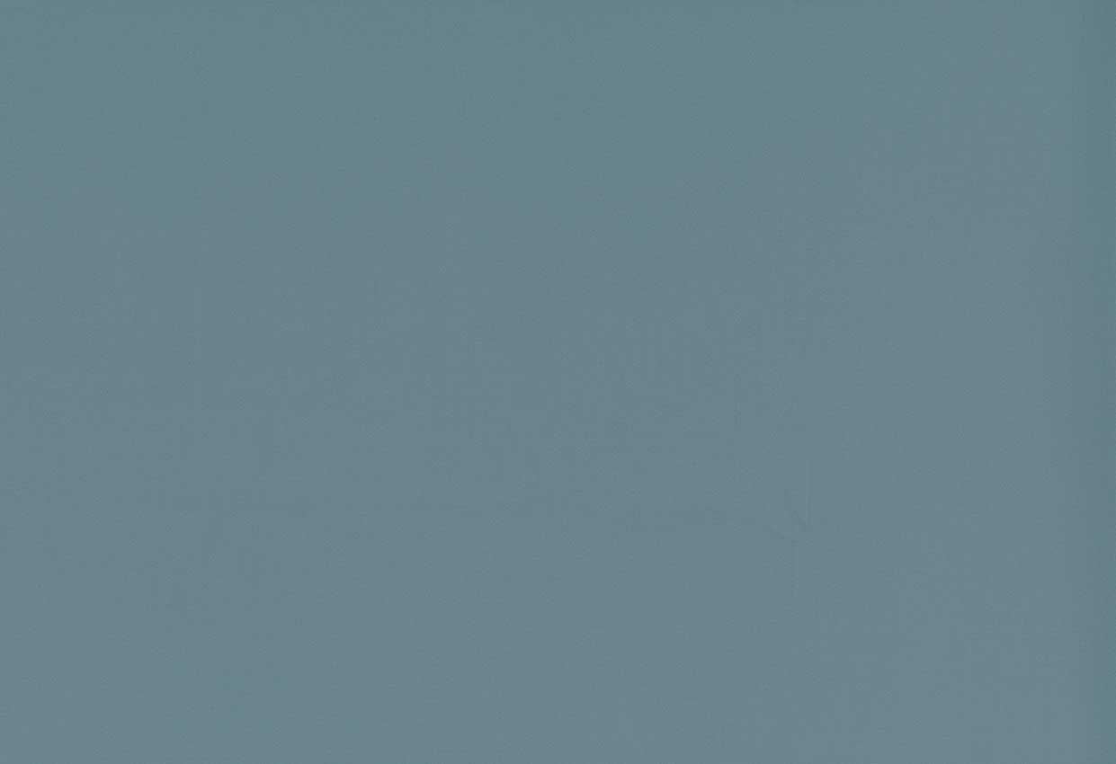 Picture of TURKS-FRENCH BLUE