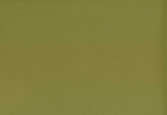 Picture of TURKS-OLIVE