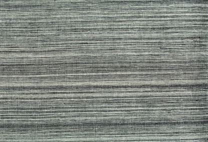 Picture of WRIGHT WC-ZEBRA