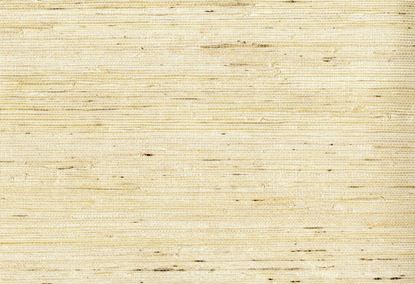 Picture of LAUDERDALE WC-BISCUIT