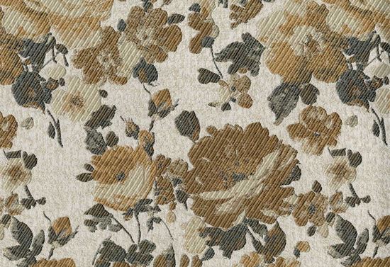 Picture of MARINGA-CAMEL